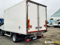 Iveco DAILY 50C15 DAILY 50C15 | Altro Altro | Iveco Orecchia