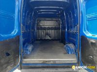 Iveco DAILY 35S16 - 3520 DAILY 35S16 - 3520 | Altro Altro | Iveco Orecchia