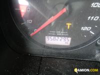 Iveco STRALIS AS440S48T/P STRALIS AS440S48T/P | Altro Altro | Iveco Orecchia