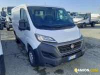 Fiat DUCATO DUCATO | Altro Altro | Iveco Orecchia
