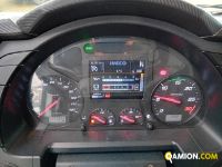 Iveco STRALIS AD260S33 STRALIS AD260S33 | Altro Altro | Iveco Orecchia