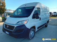 Fiat DUCATO DUCATO | Altro Altro | Iveco Orecchia