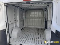 Fiat DUCATO DUCATO | Altro Altro | Iveco Orecchia