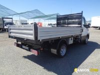 Iveco DAILY 35C18 DAILY 35C18 | Altro Altro | Iveco Orecchia