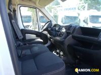 Fiat DUCATO L2H2 DUCATO L2H2 | Altro Altro | Iveco Orecchia