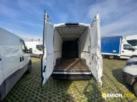 Iveco DAILY daily 35s14 | Altro Altro | Iveco Orecchia