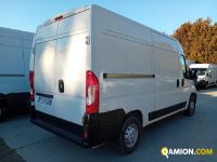 Fiat DUCATO DUCATO | Altro Altro | Iveco Orecchia