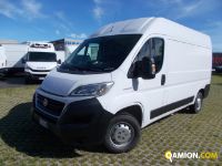 Fiat DUCATO L2H2 DUCATO L2H2 | Altro Altro | Iveco Orecchia