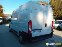 Fiat DUCATO DUCATO | Altro Altro | Iveco Orecchia