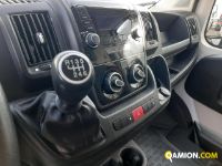 Fiat DUCATO DUCATO | Altro Altro | Iveco Orecchia