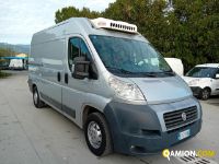 Fiat DUCATO ISOTERMICO | Iveco Orecchia