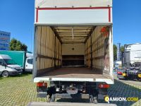 Iveco EUROCARGO ML140E25/P EUROCARGO ML140E25/P | Altro Altro | Iveco Orecchia