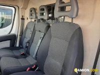 Fiat DUCATO DUCATO | Altro Altro | Iveco Orecchia