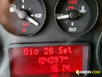 Iveco DAILY 50C15 DAILY 50C15 | Altro Altro | Iveco Orecchia