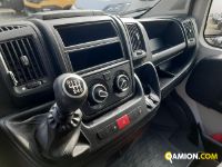 Fiat DUCATO DUCATO | Altro Altro | Iveco Orecchia