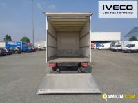Iveco DAILY 35S16 DAILY 35S16 | Altro Altro | Iveco Orecchia