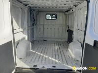 Fiat DUCATO DUCATO | Altro Altro | Iveco Orecchia
