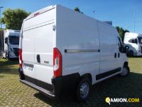 Fiat DUCATO L2H2 DUCATO L2H2 | Altro Altro | Iveco Orecchia