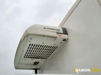 Iveco DAILY 50C15 DAILY 50C15 | Altro Altro | Iveco Orecchia