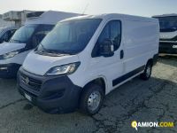 Fiat DUCATO DUCATO | Altro Altro | Iveco Orecchia