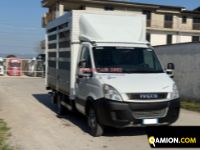 Iveco Daily 35C15 3 0 16V Daily 35C15 3 0 16V | EUROCAR2002 S.R.L.S.