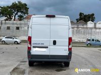 Fiat DUCATO ducato