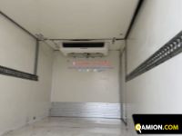 Iveco DAILY 35C13 DAILY 35C13 | EUROCAR2002 S.R.L.S.