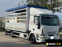 Iveco Eurocargo 120E22 Eurocargo 120E22 | EUROCAR2002 S.R.L.S.