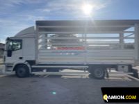 Iveco Eurocargo 120E22 Eurocargo 120E22 | EUROCAR2002 S.R.L.S.