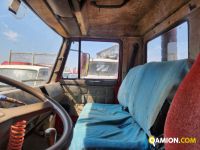 Iveco DAILY RIBALTABILE GRU | Altro Altro