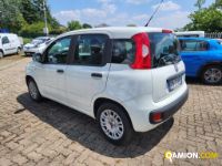 Fiat PANDA 1.3 MJT S&S Easy Van 4 posti | Altro Altro