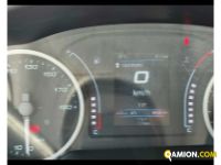 Iveco Daily 35 C14H BOX e SPONDA  Daily 35 C14H BOX e SPONDA  Altro | ATL SPA