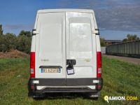 Iveco DAILY daily 35s15 | spc servizi srl