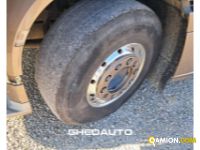 Daf DAF XF 510 SSC  - TRATTORE XF 510 SSC  | Altro Altro | GHEDAUTO Veicoli Industriali S.r.l.