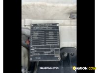 Iveco AS440S48T/P AS440S48 - TRATTORE | Altro Altro | GHEDAUTO Veicoli Industriali S.r.l.