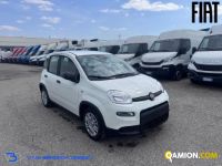 Fiat PANDA 1.0 FireFly S&S Hybrid | Altro Altro | VIVA BRESCIA DIESEL SPA