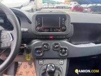 Fiat PANDA 1.0 FireFly S&S Hybrid | Altro Altro | VIVA BRESCIA DIESEL SPA