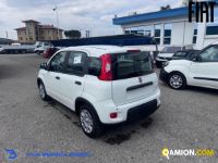 Fiat PANDA 1.0 FireFly S&S Hybrid | Altro Altro | VIVA BRESCIA DIESEL SPA