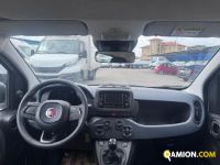 Fiat PANDA 1.0 FireFly S&S Hybrid | Altro Altro | VIVA BRESCIA DIESEL SPA