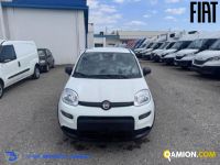 Fiat PANDA 1.0 FireFly S&S Hybrid | Altro Altro | VIVA BRESCIA DIESEL SPA