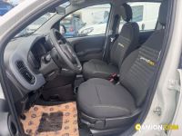 Fiat PANDA 1.0 FireFly S&S Hybrid | Altro Altro | VIVA BRESCIA DIESEL SPA