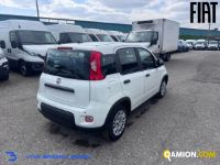 Fiat PANDA 1.0 FireFly S&S Hybrid | Altro Altro | VIVA BRESCIA DIESEL SPA