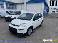 Fiat PANDA 1.0 FireFly S&S Hybrid | Altro Altro | VIVA BRESCIA DIESEL SPA