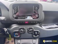 Fiat PANDA 1.0 FireFly S&S Hybrid | Altro Altro | VIVA BRESCIA DIESEL SPA