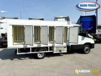 Iveco DAILY 35C16 DAILY 35C16 | Mason Trucks