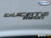 Fiat DUCATO ducato maxi | Mason Trucks