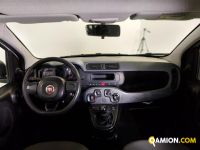 Fiat PANDA panda