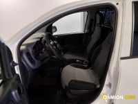Fiat PANDA panda