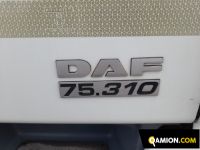Daf CF75 CF75 | Altro Altro | PIOLANTI SRL