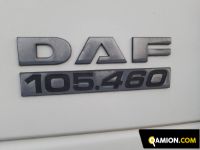 Daf XF105 xf105.460 | Altro Altro | PIOLANTI SRL